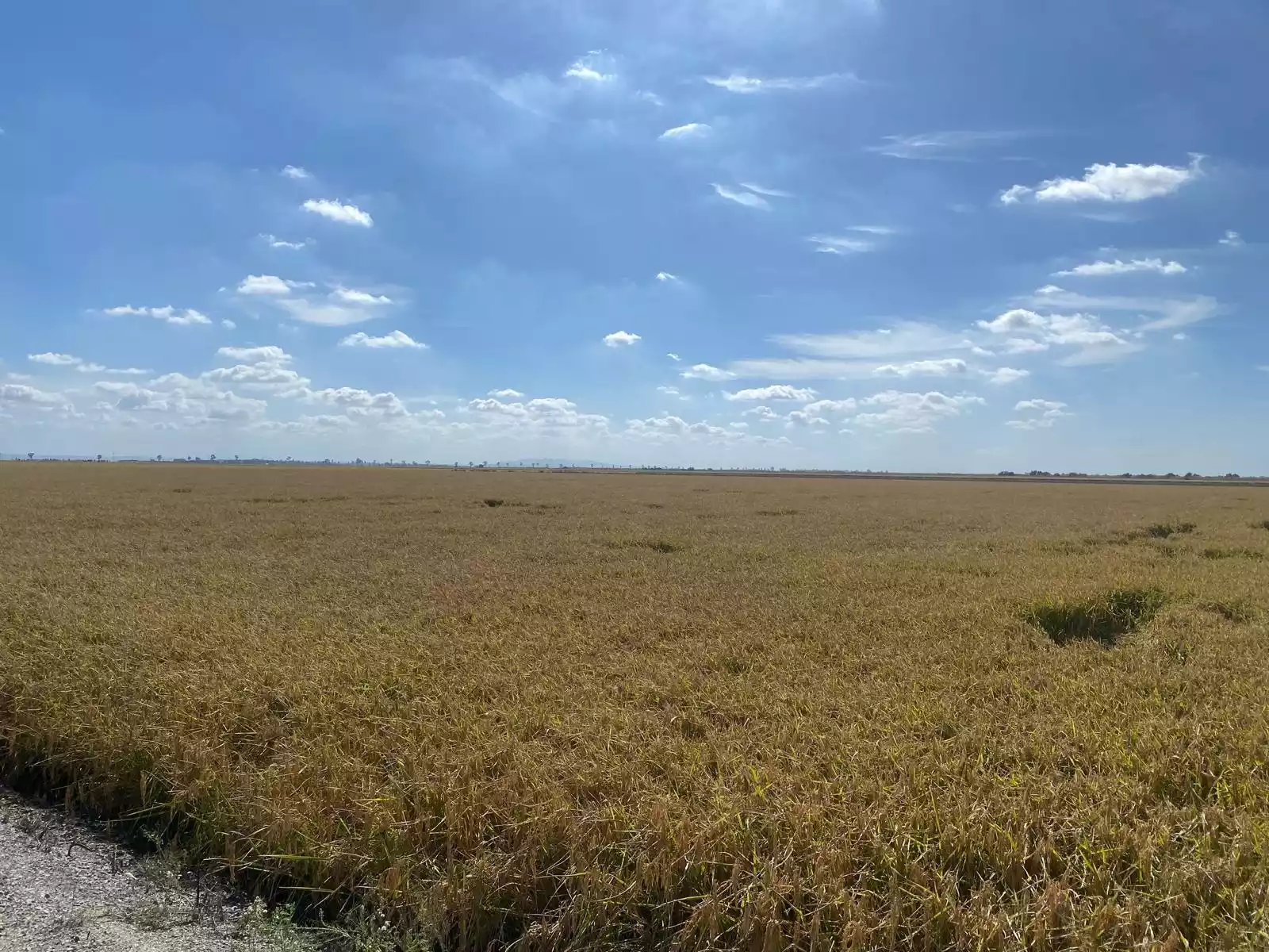 Explotación agrícola propia